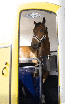 Humbaur Pegasus STYLE 2700 kg in div. Farben erhältlich, Vollpoly• – Bild 7