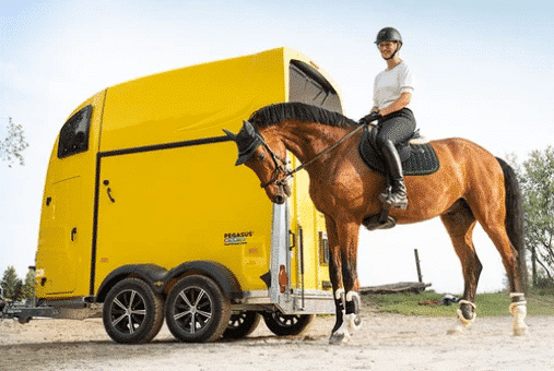 Humbaur Pegasus STYLE 2700 kg in div. Farben erhältlich, Vollpoly• – Bild 6